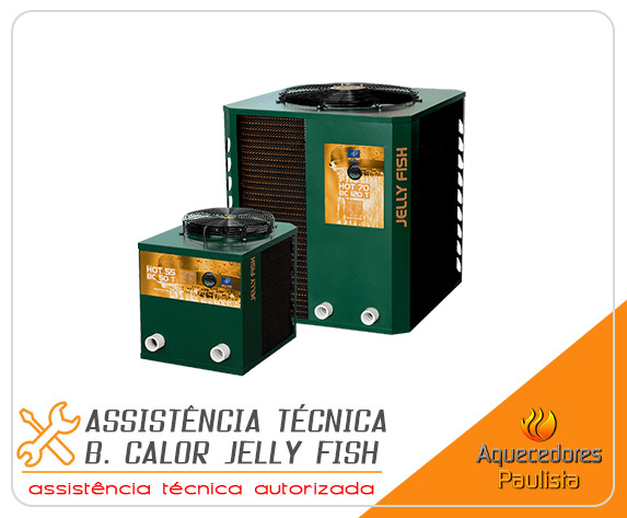 Assistência Técnica Bomba de Calor Jelly Fish